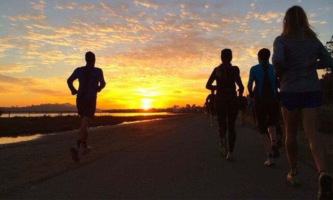 廊坊计步器问答案例