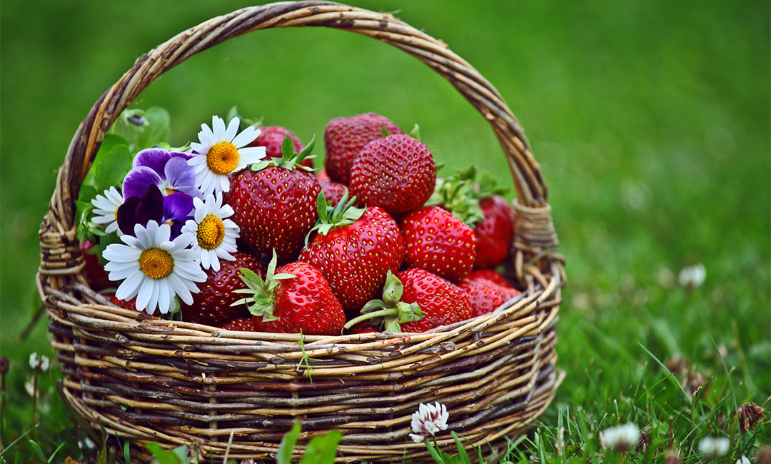 廊坊点呀点水果电商APP开发案例